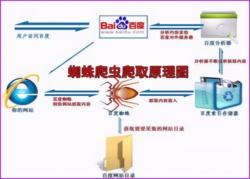 SEO快速排名外包服务 上海优化公司与导游服务的跨界融合